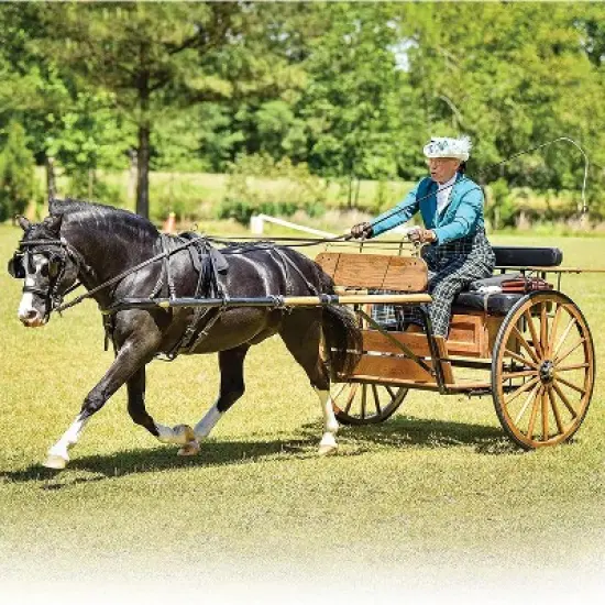 Breyer Animal Creations Breyer Traditional 1:9 Scale Model Horse | Welsh Pony Mare and Foal image {1}