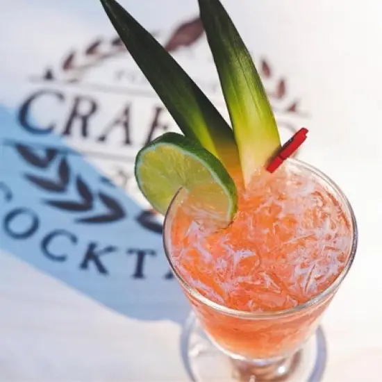 Crafted Cocktails Grapefruit Paloma Mix: 6 Pack&nbsp; Pink Grapefruit and Lime Juice with Organic Agave&nbsp; 35 Calories Per Serving, 8 Cocktails Per Bottle image {5}