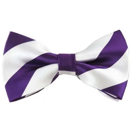 Men's 2.75 W And 4.75 L Inch With Pre-Tied College Stripe Bowtie image {4}