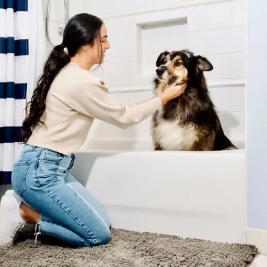 DogBuddy Dog Door Mat, Super Absorbent Doormat, Washable Rugs for Pets, Non-Slip Floor Mats image {5}