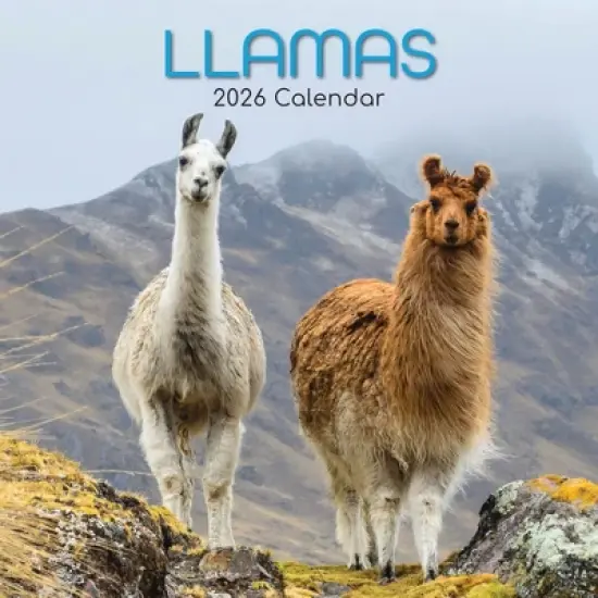 2026 Square Wall Calendar, Llamas, 16-Month Animals Theme with 180 Reminder Stickers (12x12 In) image {4}