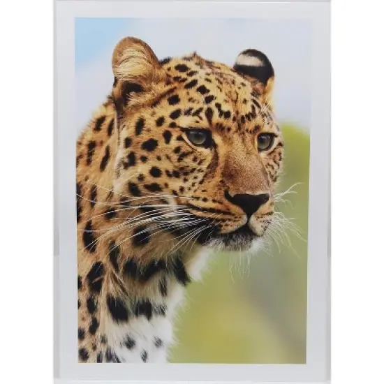 PPD Glossy Photo Paper 11x14" 50 sheets 255 gsm for Inkjet Printers image {2}