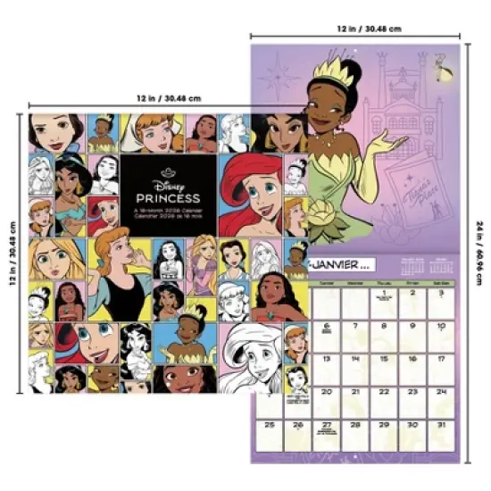 Disney 2026 Princess Bilingual French 12"x12" Wall Calendar image {6}