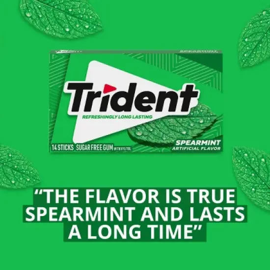 Trident Spearmint Wallet Chewing Gums - 14pc image {4}