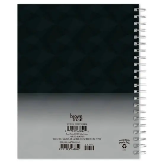 Browntrout 23-2024 Weekly/Monthly Planner 7.5"x7.125"The Regal Cat image {1}