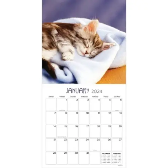 TF Publishing 2024 Wall Calendar 12"x12" Cat Dreams image {1}