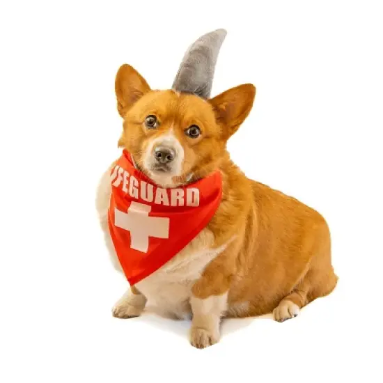 Midlee Shark Dog Headband Costume image {5}