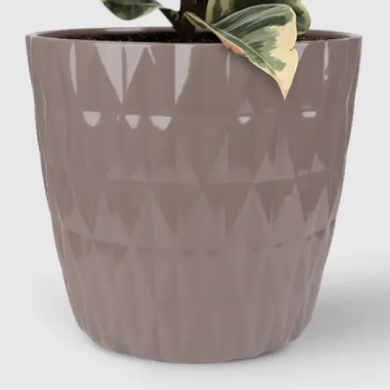 8" Foliage - Good Little Garden&trade; image {2}