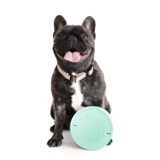 KindTail Portable 2pc Dog Bowl Set  image {10}
