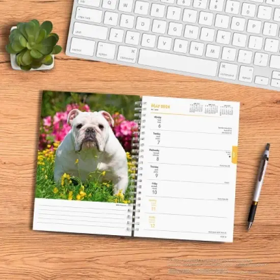 Browntrout 23-2024 Weekly/Monthly Planner 7.5"x7.125" Bulldogs image {3}