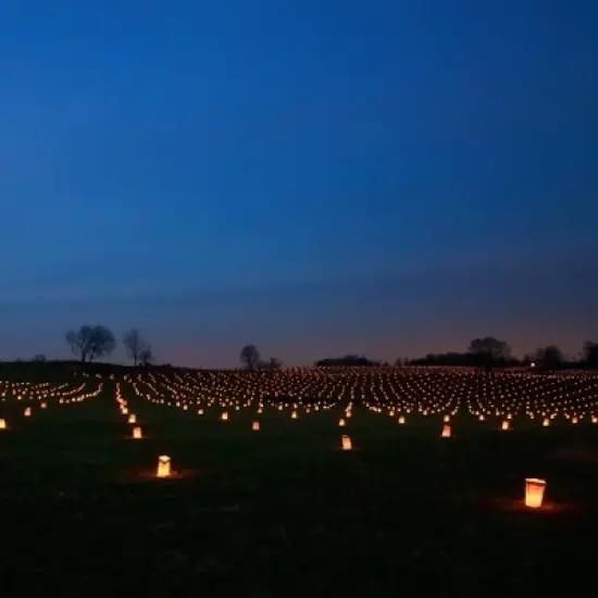 24ct Paper Luminaria Bags Beige - LumaBase: Candle Bags Luminaries for Pathway Lights Christmas & Thanksgiving image {2}