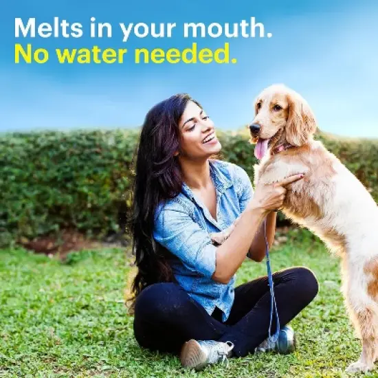 Claritin Loratadine 5mg Reditab Tablet Non Drowsy, 30 Count image {3}