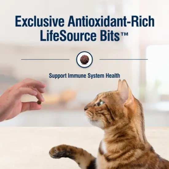 Blue Buffalo True Solutions Perfect Coat Skin and Coat Care Adult Salmon flavor Dry Cat Food image {6}