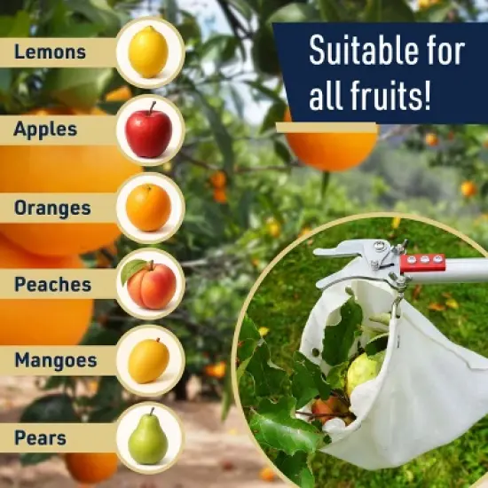 Kings County Tools 10ft Fruit Picker Pole with Bag image {3}