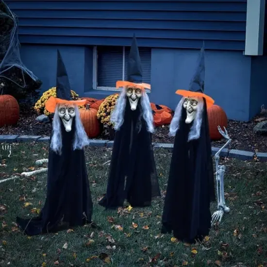 Nifti Nest 3 PCS Halloween Witches Stakes image {3}