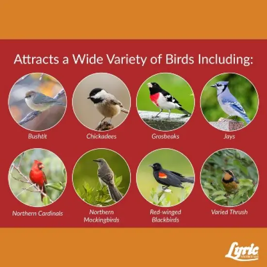Lyric Cardinal Wild Bird Seed for Outside Feeders &ndash; Premium Sunflower & Safflower Bird Seed Mix for Cardinals Grosbeaks Blue Jay 3.75 lb image {5}