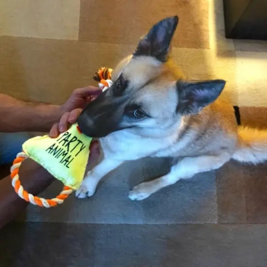 Pavilion Gift Company - Party Animal - Canvas Dog Toy on a Rope - Pet Toy image {1}