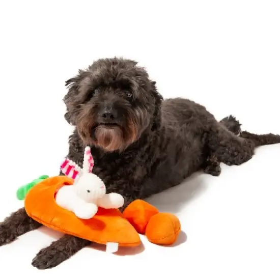 Midlee Hide a Toy Carrot Easter Dog Toy image {1}
