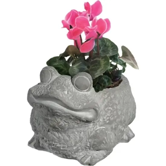 Classic Home and Garden Cement Buddies Indoor/Outdoor Planter with Drainage Hole, Frog image {1}