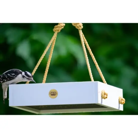 Bird Choice Small Modern Farmhouse Hanging Platform Tray Bird Feeder 2.5" image {3}