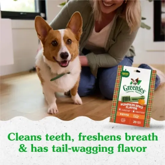 Greenies Pumpkin Spice Flavor Petite Dental and Hard Chews Dog Treats - 6oz/10ct image {7}