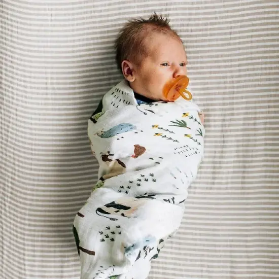 Red Rovr Organic Cotton Muslin Swaddle Blanket - 2pk image {8}