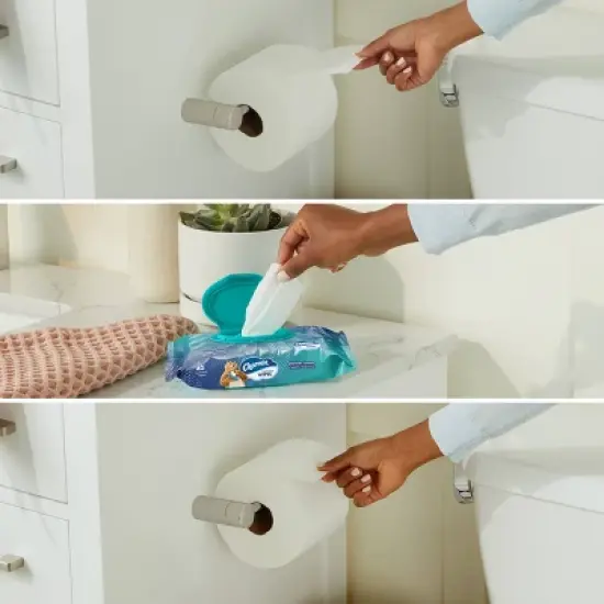 Charmin Flushable Wipes image {3}