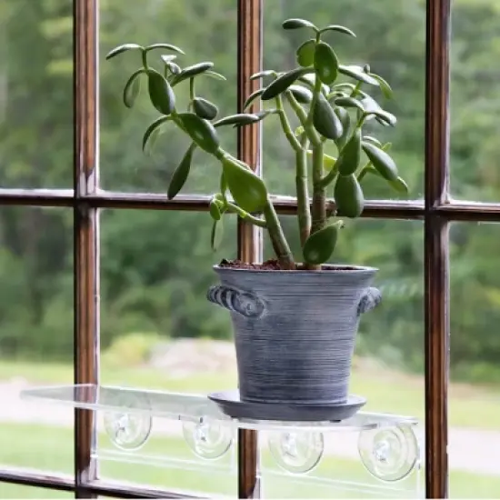 Window Garden 6" Rustic Charm Planter - Ceramic Decorative Pot for Herbs, Flowers, Succulents. Home D&eacute;cor & Gift. image {1}