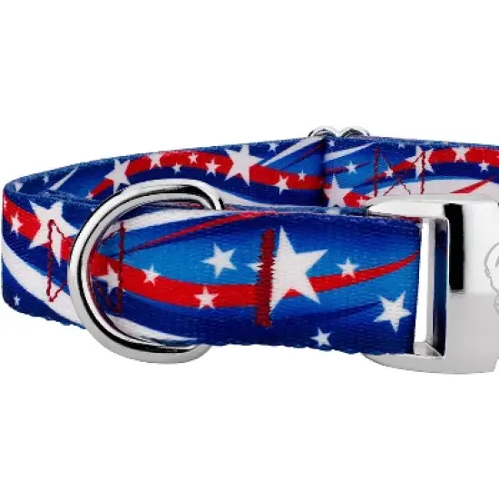 Country Brook Petz Premium Star Spangled Dog Collar and Leash image {4}