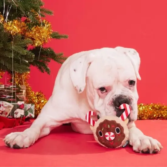 BARK Gnasher The Puppermint Reindeer Dog Toy image {3}