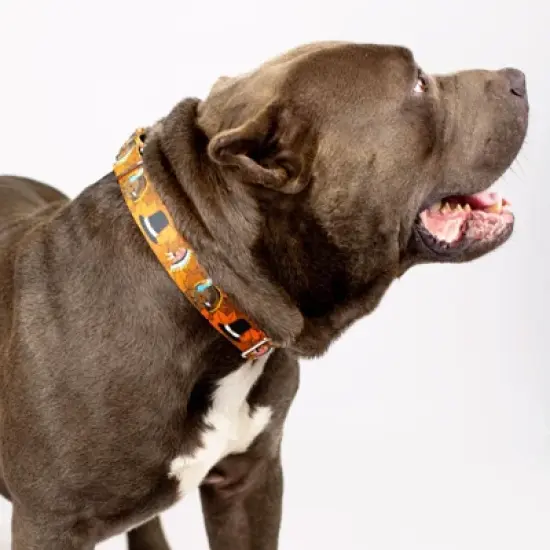 Country Brook Petz Thanksgiving Tradition Martingale Dog Collar image {5}