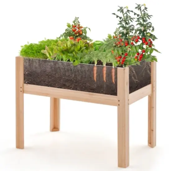Tangkula Raised Wooden Garden Bed with Legs 24"/31&rdquo; Elevated Planter Box with 2 Acrylic Panel Sides Drain Holes, Movable Beds image {10}