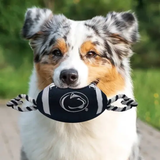 NCAA Penn State Nittany Lions Nylon Football Dog Toy image {2}