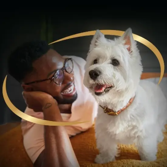 Cesar Carrot, Pea, Steak, Vegetable, Beef and Red Meat Flavor Small Breed Dry Dog Food - 5lbs image {10}