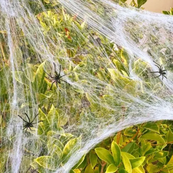 Wrapables 16ft Giant Triangular Spider Web Kit with Cobwebs and 5ft Large Spider + 20 Small Spiders, Indoor Outdoor Haunted House Halloween Decor image {5}
