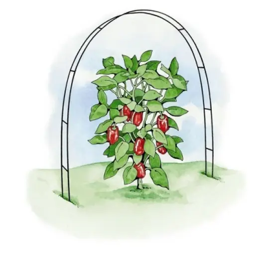 Gardeners Supply Company Garden Hoops Grow Tunnel Support | Greenhouse Raised Garden Bed Fabric Row Cover Arch Frame, Garden Stakes For Plants & image {1}