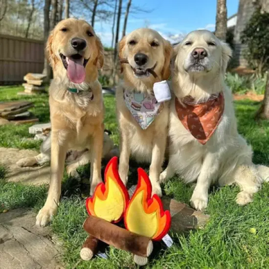 Midlee Campfire Dog Toy image {3}