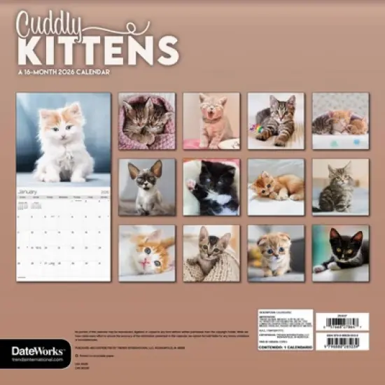 Trends International 2026 Cuddly Kittens 12"x12" Wall Calendar image {3}