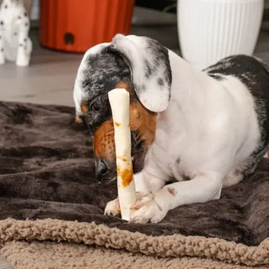 Pet Factory Twistedz American Beefhide Chip Rolls w/ Meat Wrap - 5", 8 Count image {2}
