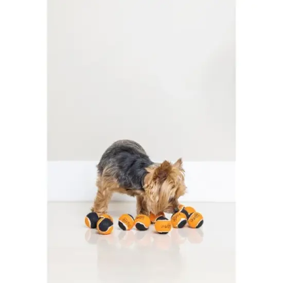 Midlee Orange/Black Mini Dog Halloween Tennis Balls- Set of 12 image {3}