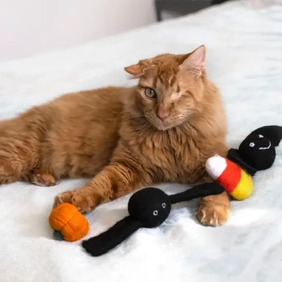 Midlee Halloween Felt Cat Toys Set- Bat, Pumpkin, Spider, Candy Corn image {3}