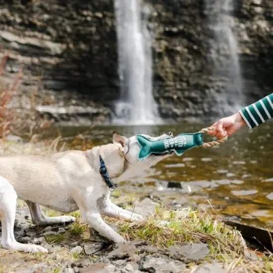 Pavilion Gift Company - River Dog - 12" Canvas Dog Toy on Rope  - Pet Toy image {1}