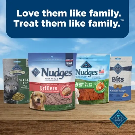 Blue Buffalo Nudges Grillers Salmon Flavor Dog Treats - 16oz image {8}