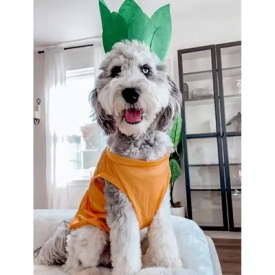 Midlee Pineapple Dog Costume image {4}