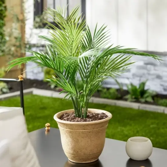 HC Companies Sierra 10 Inch Self Watering Round Plastic Flower Garden Planter Pot Container for Gardening Purposes, Arizona Sand (2 Pack) image {4}