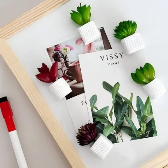 Wrapables 3D Resin Fridge Magnets, Succulents Refrigerator Magnets for Kitchen (Set of 5), Succulent image {6}