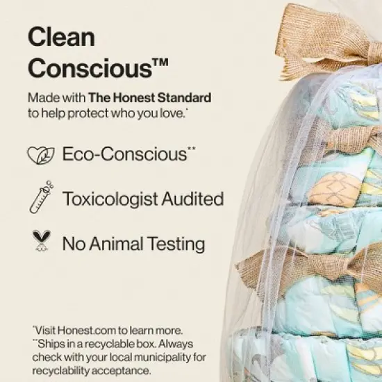 The Honest Company Clean Conscious Disposable Diaper Cake - Above It All - 39ct image {4}