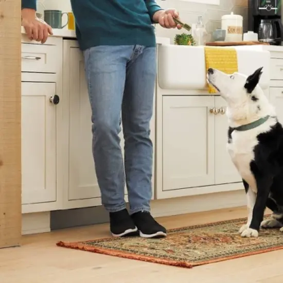 Greenies Dental Spearmint and Blueberry Flavored Dog Treat Chews - Regular - 36oz image {3}