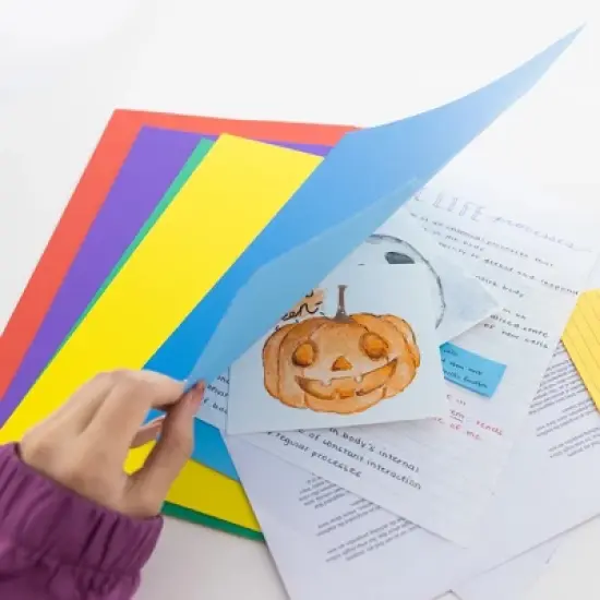 BAZIC PRODUCTS BAZIC 1/3 Cut Letter Size Color File Folder (100/Box) image {5}