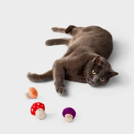 Toadstool Friends Cat Plush Toy Set - 3pc - Boots & Barkley&trade; image {1}